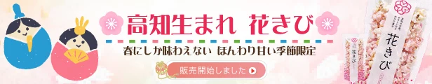 「高知生まれ 花きび」楽天バナー（春にしか味わえない ほんわか甘い季節限定）